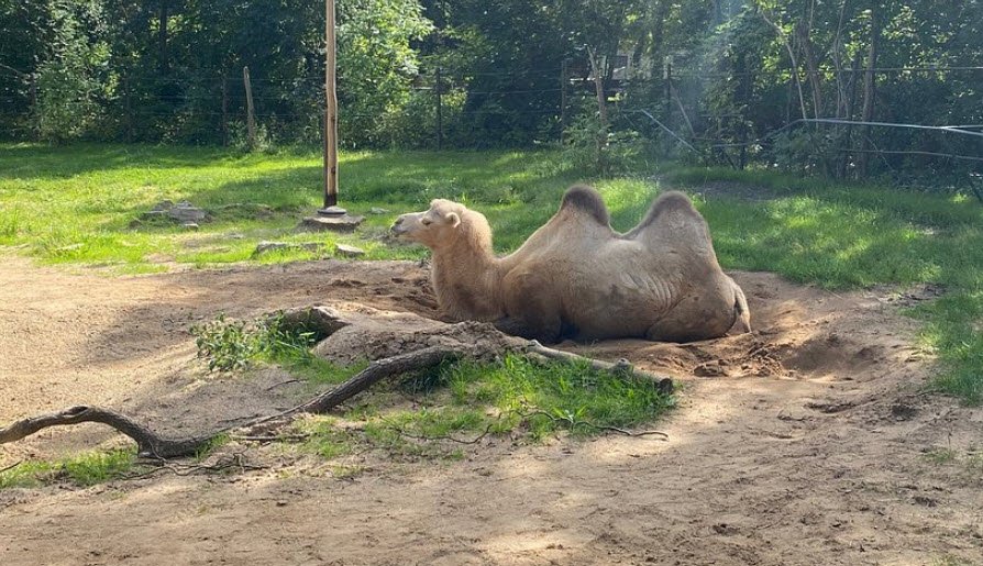 Zoo Aschersleben, Germany